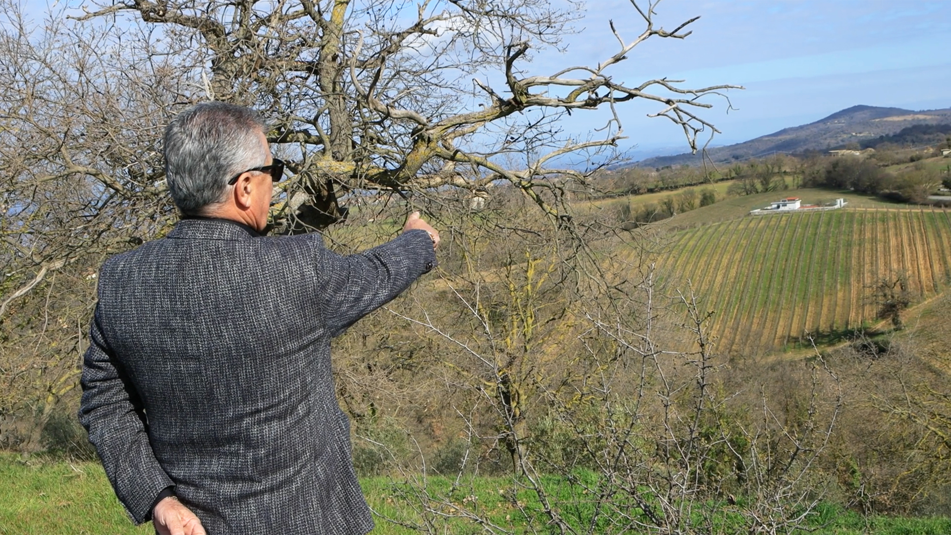 Cantina Cooperativa Vignaioli del Morellino di Scansano Società Cooperativa agricola