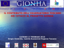 Icona