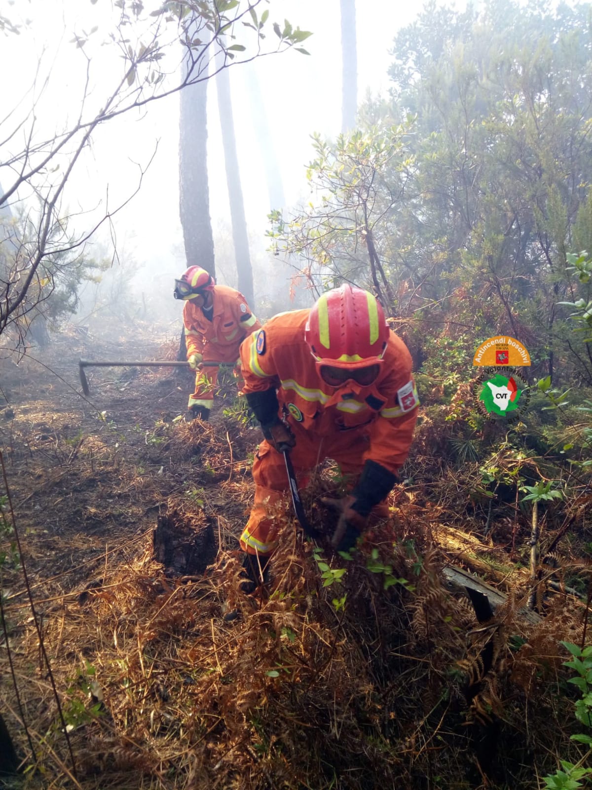 Il punto su incendi boschivi: analisi e dati. Mercoledì 2 a Centro addestramento Monticiano