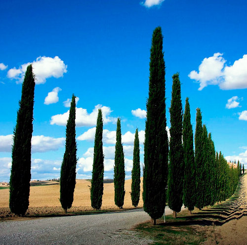 Indice reputazione turistica premia Toscana, Giani e Marras: 'Lavoro squadra fattore chiave'